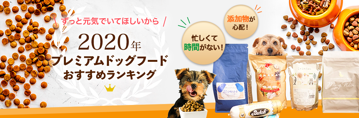 2019年プレミアムドッグフードおすすめランキング